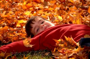 2008Oct19_2838-7.jpg