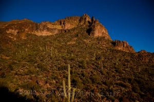 DSC_0604-74-5.jpg