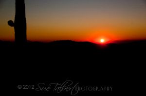 DSC_0610-79-7.jpg